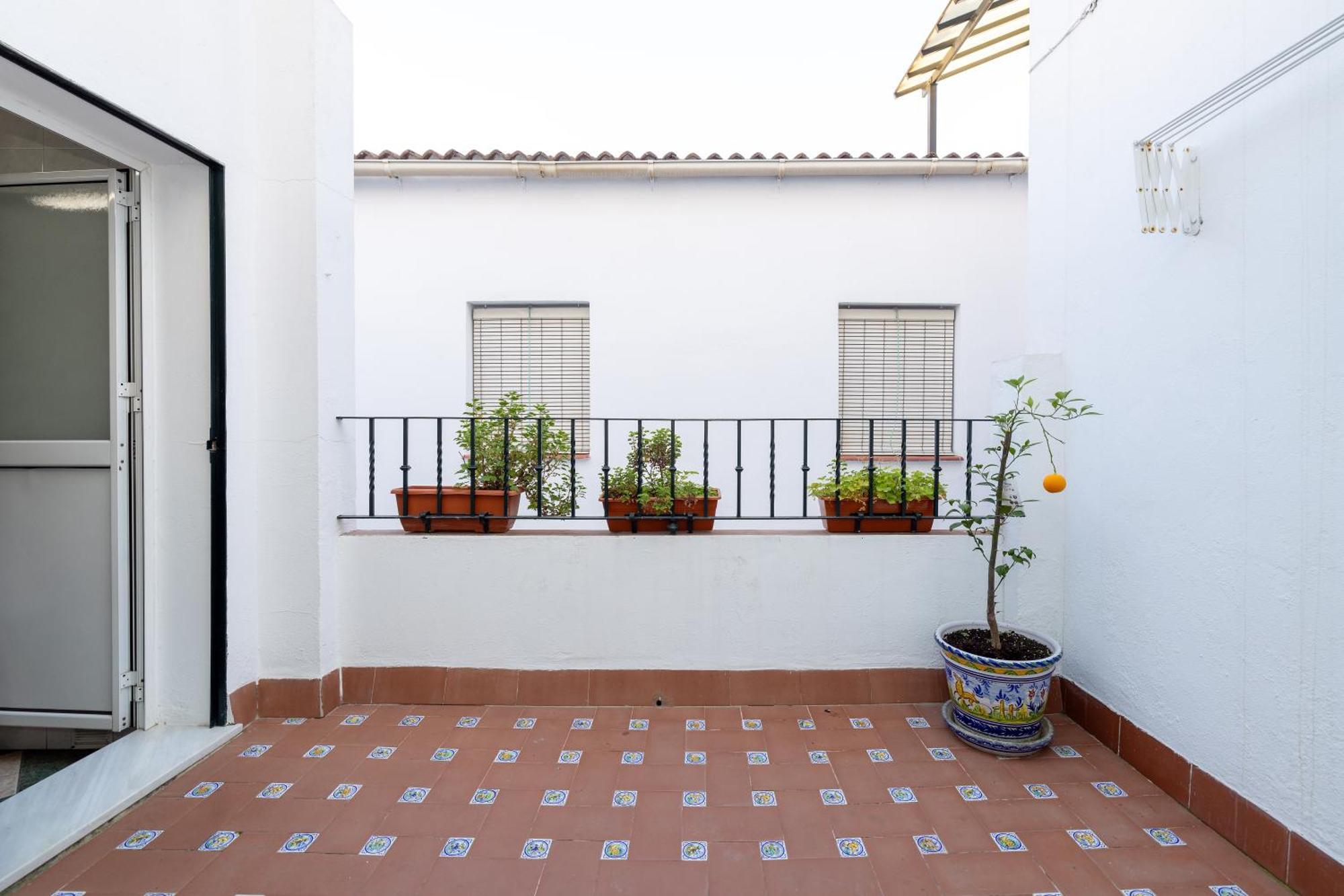 Apartamentos Trianasol 塞维利亚 外观 照片