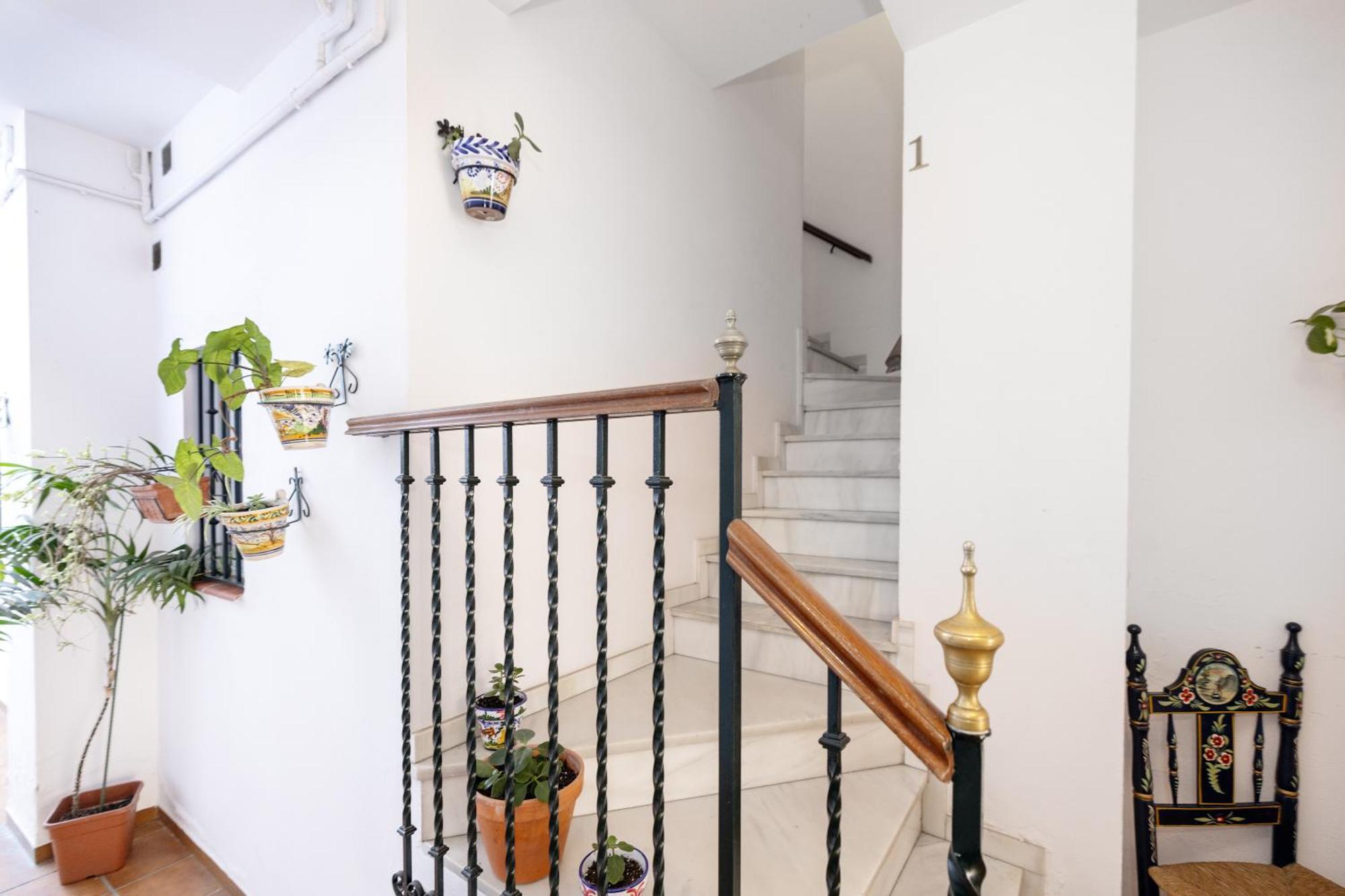 Apartamentos Trianasol 塞维利亚 外观 照片