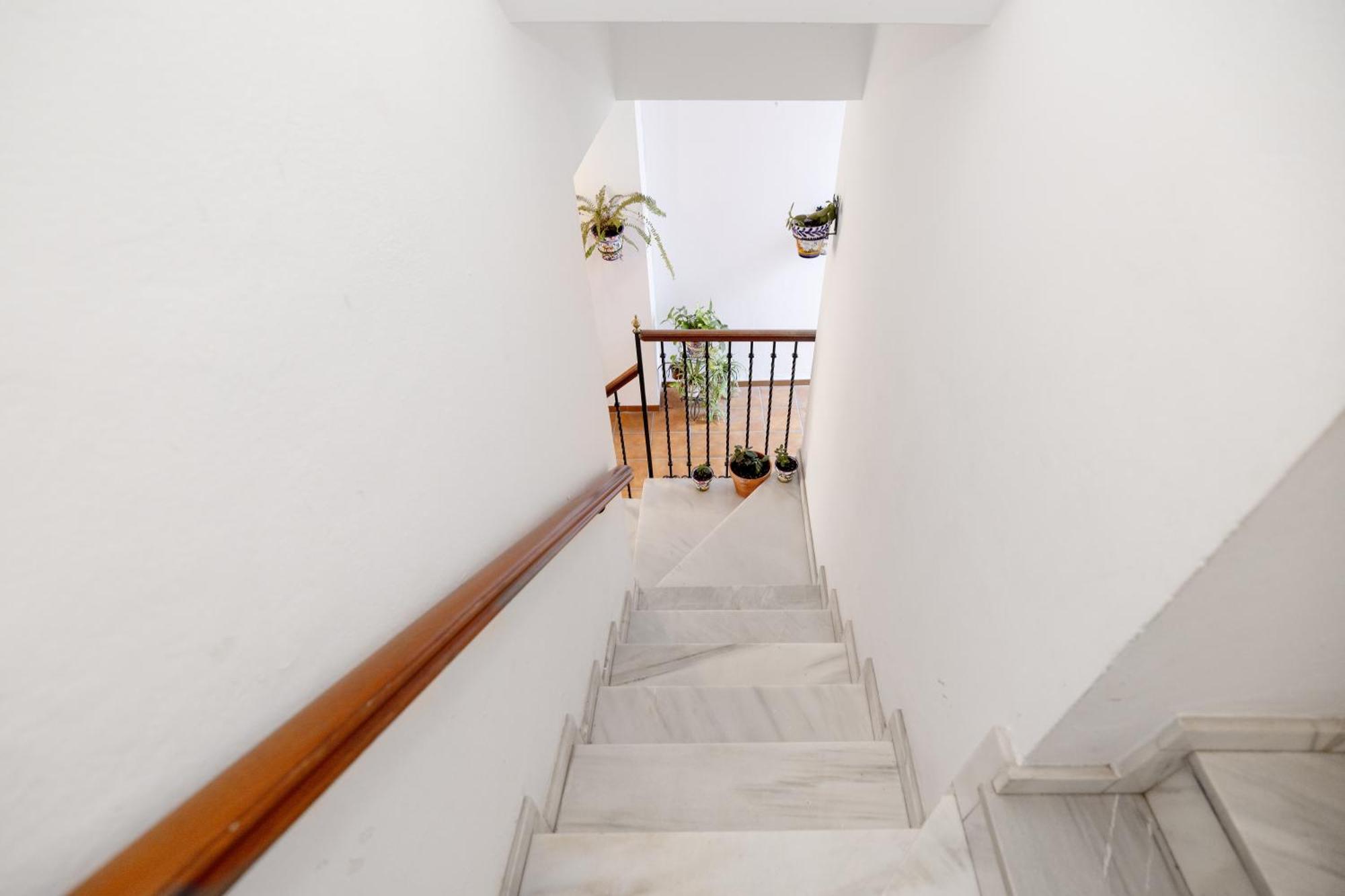 Apartamentos Trianasol 塞维利亚 外观 照片