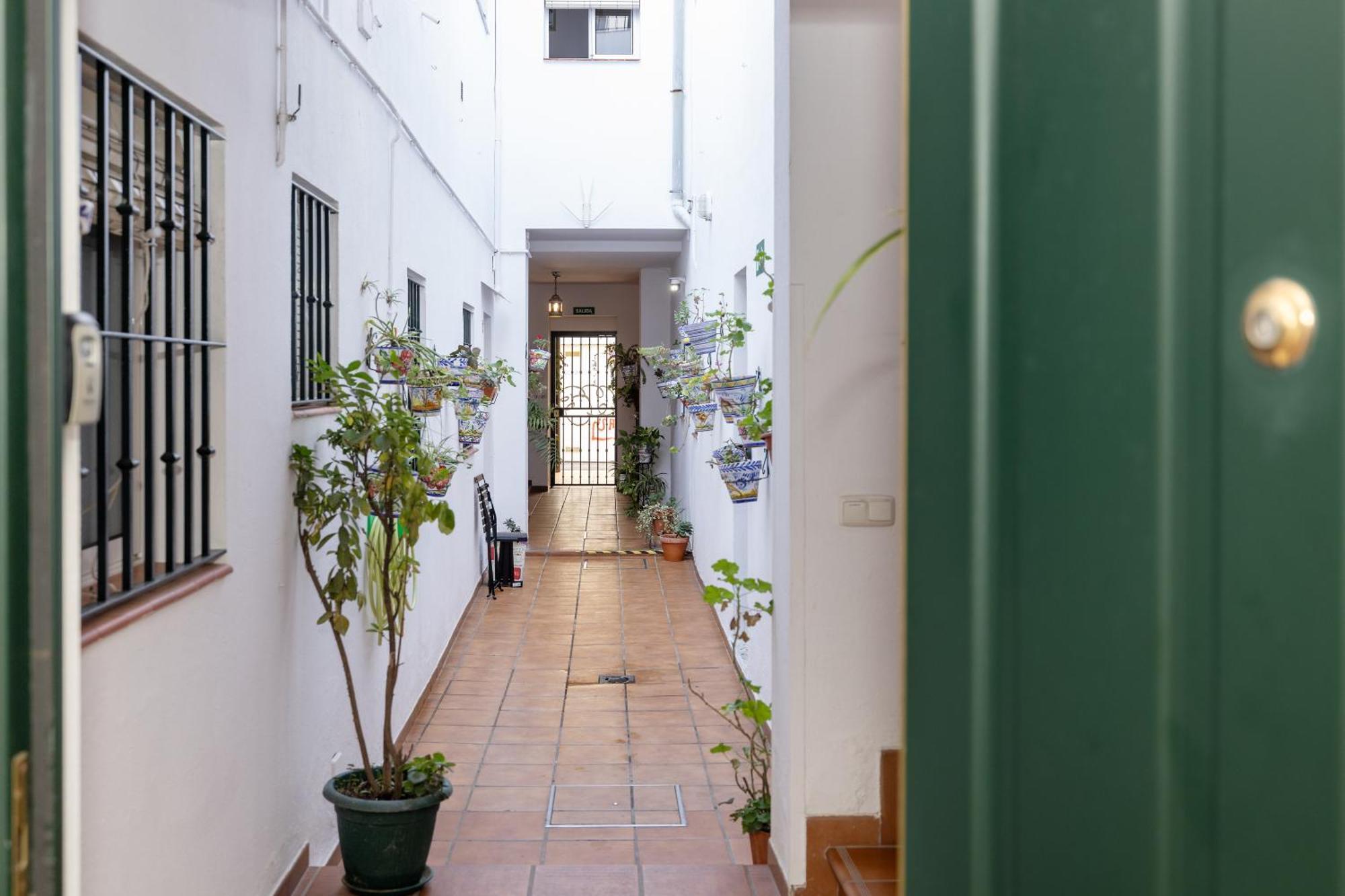 Apartamentos Trianasol 塞维利亚 外观 照片